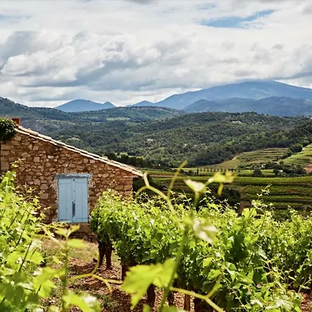 Bed & Breakfast Mas De La Baume